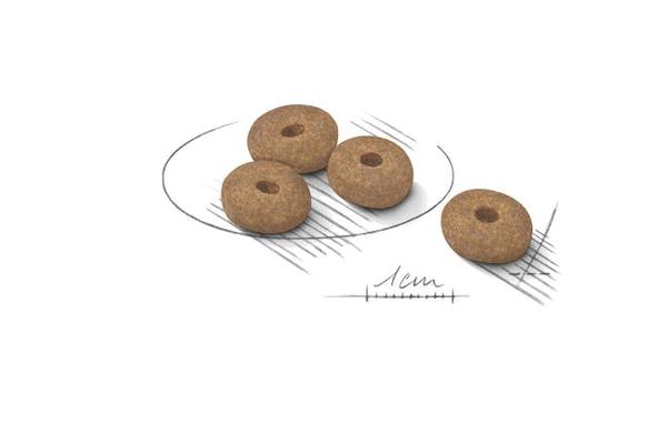 CCN MINI LIGHT WEIGHT CARE 3KG