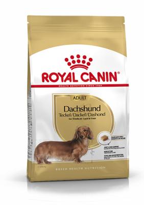 BHN DACHSHUND 7.5KG